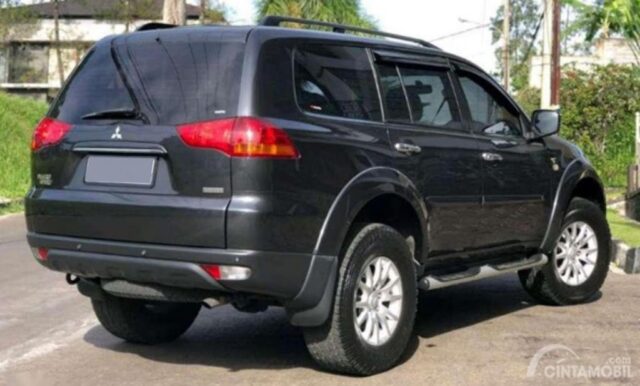 Mitsubishi Pajero Sport Review 2009: Rear Back Door