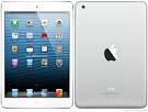 Handphone Apple iPad mini Wi-Fi + Cellular