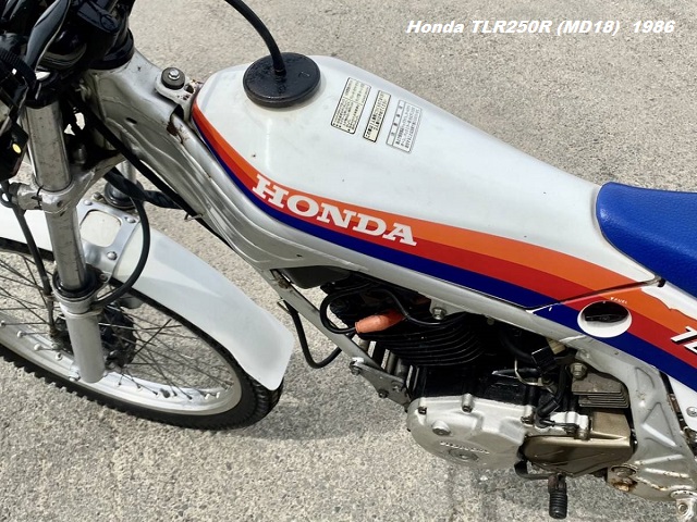 1986 Honda TLR250R fuel tank