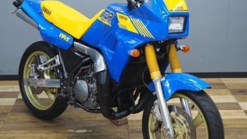 Yamaha TDR250 Blue