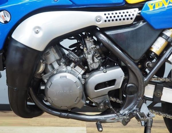 Yamaha TDR250 engine