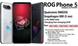 Asus ROG Phone 5 phone specs